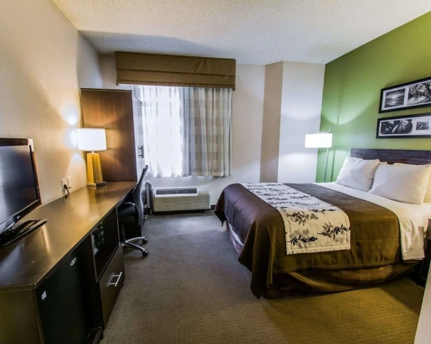 Standard Double room