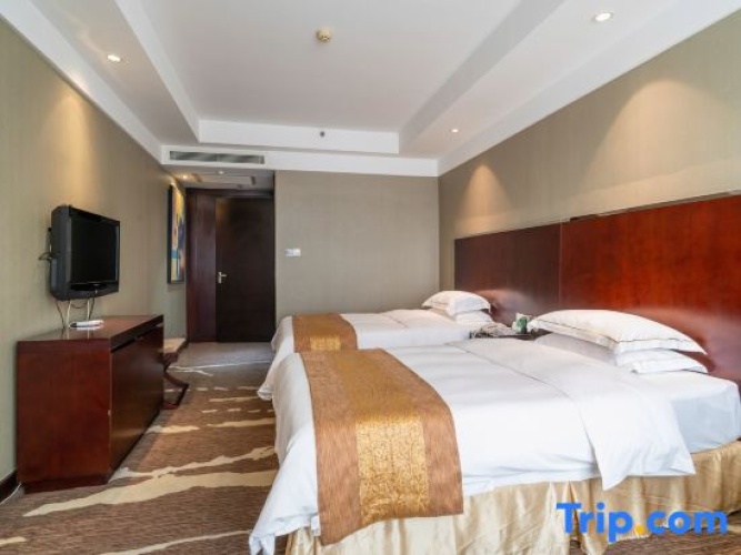 Twin Suite