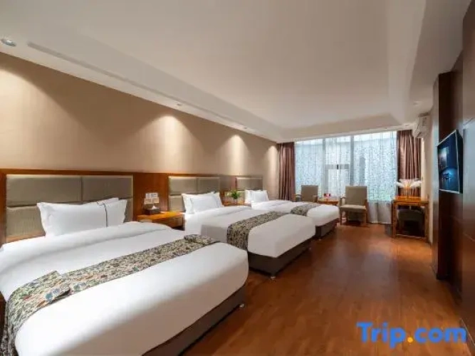 Deluxe Triple room