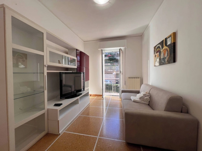 1 Bedroom Apartment with balcony and with land view