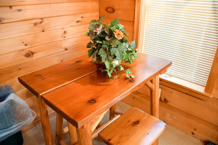 SOUTHERN NITES - 1 Br Cabin