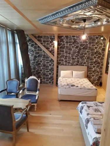 Standard Penthouse room