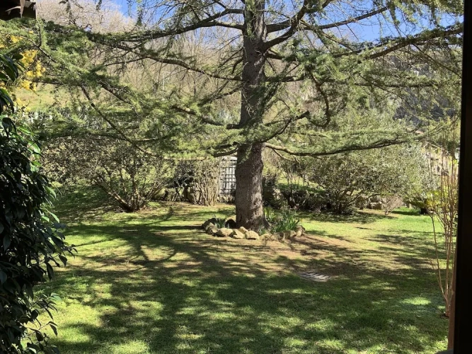 Standard Double room with garden view