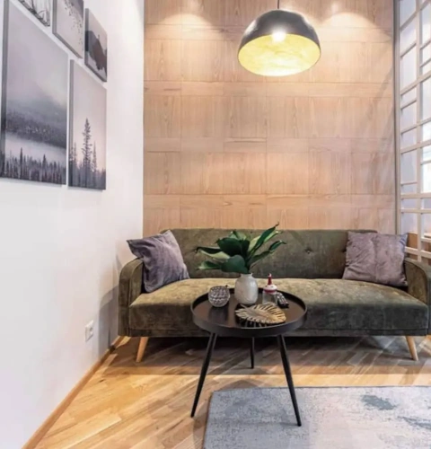 1 Bedroom Apartment