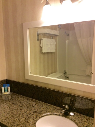 Quality Inn & Conference Centre North Hill photo 9