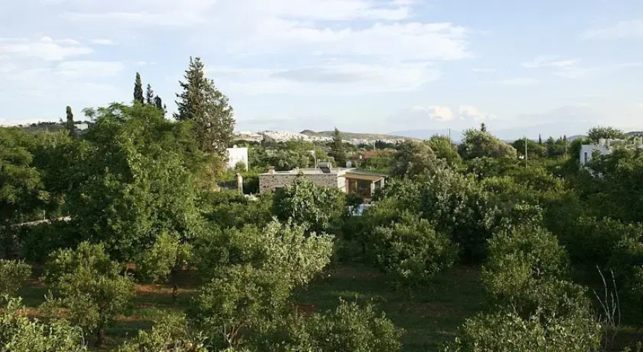 Important Group Villa Citrus