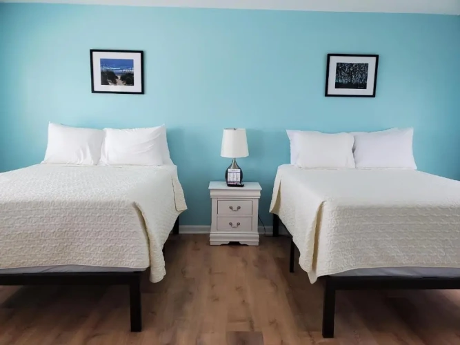 Standard Double room with balcony and with ocean view