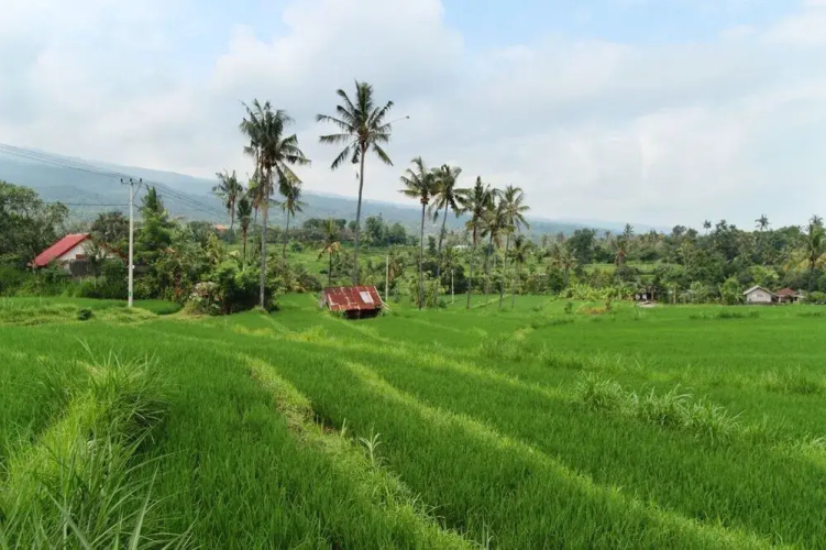 The Khana Sambangan