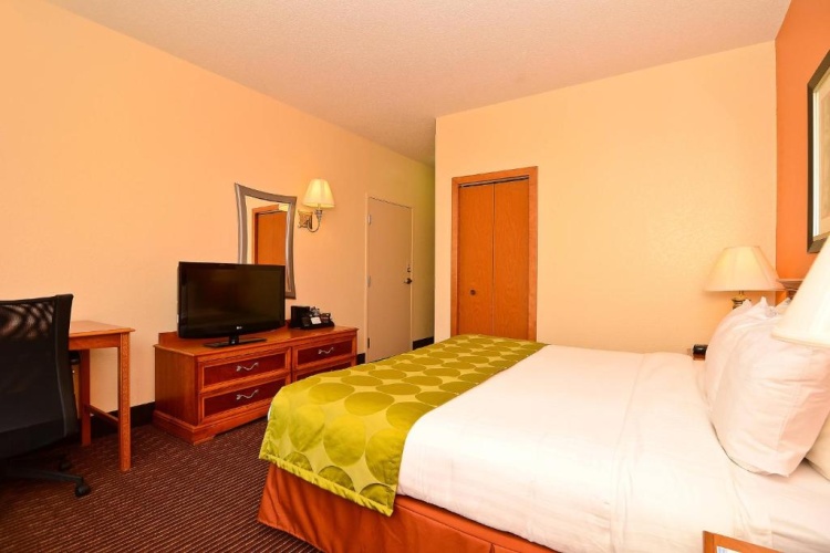 Standard room