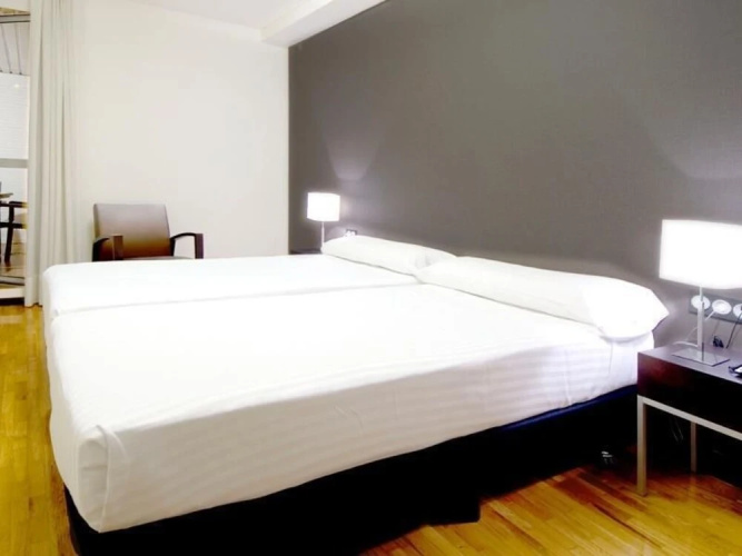 Apartamentos Mendebaldea Suites