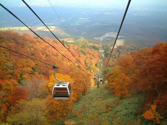 Hotel Harvest NasuOver view