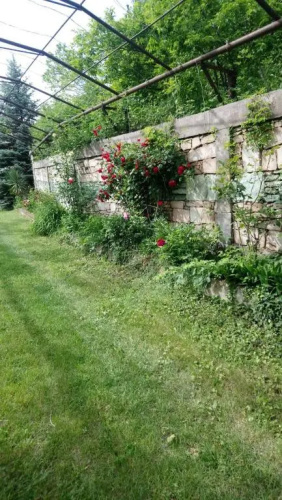 Luse Guest House
