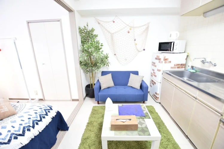 1 Bedroom Apartment
