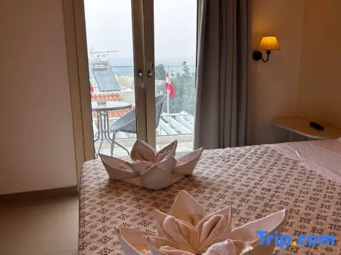 1 Bedroom Studio