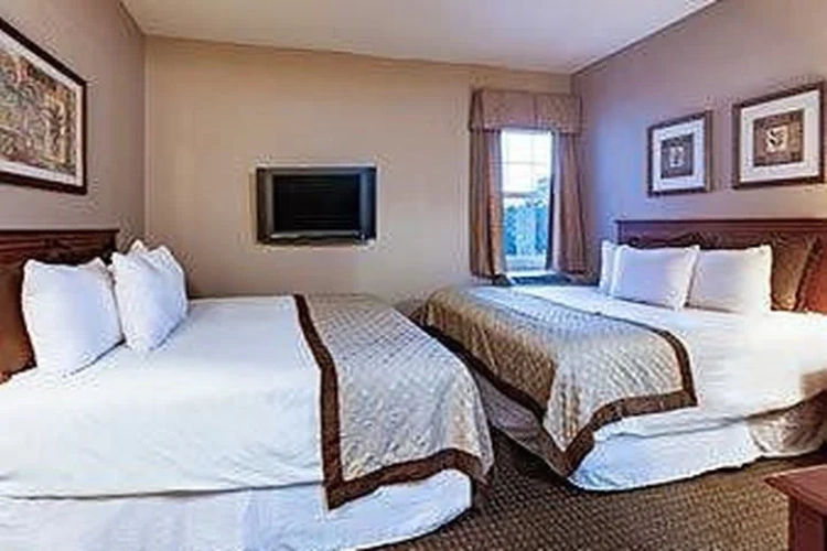 Quadruple Suite