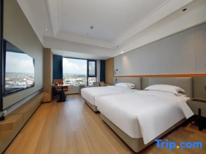 Deluxe Twin room with city view