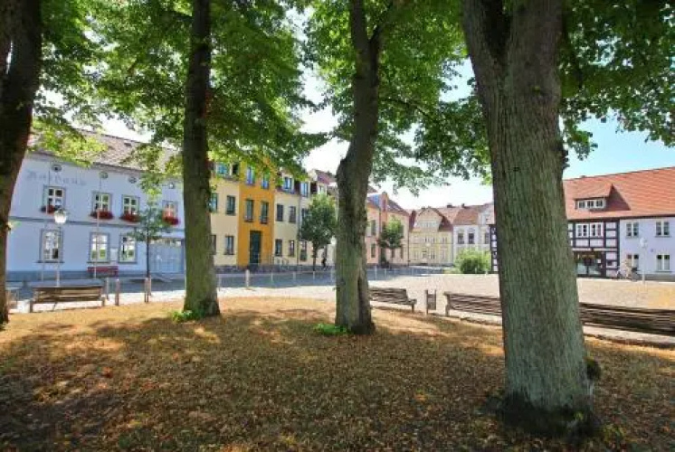 Ferienhaus Wesenberg SEE 5461