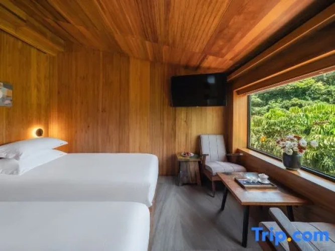 Standard Twin room with balcony