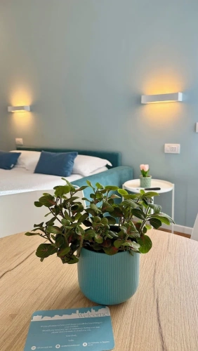 Double Apartment with balcony and with courtyard view