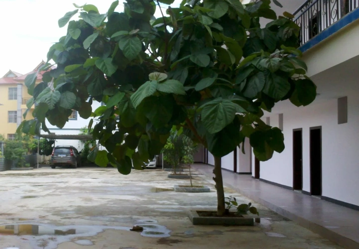 Outside