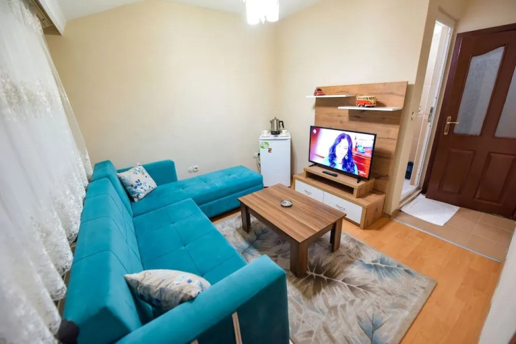 My Guse Suite