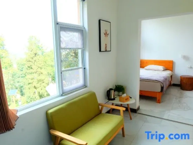 Standard Double room with view