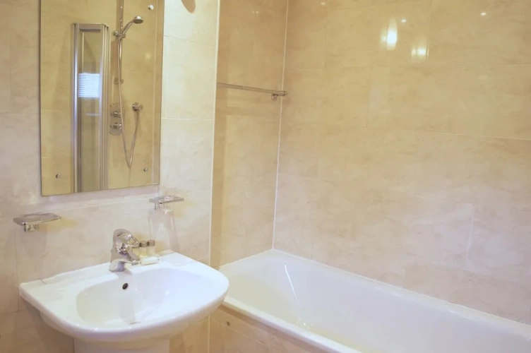 1 Bedroom Standard Apartment