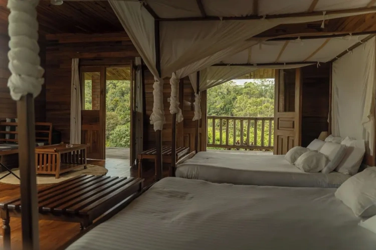 Executive Double room
