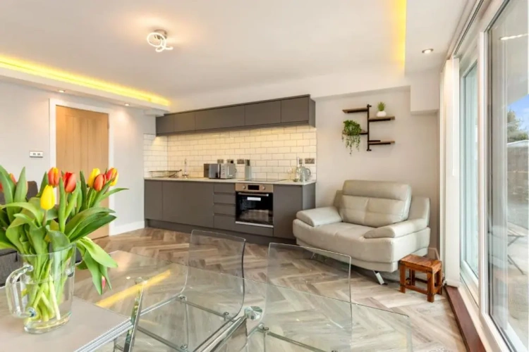 1 Bedroom Apartment
