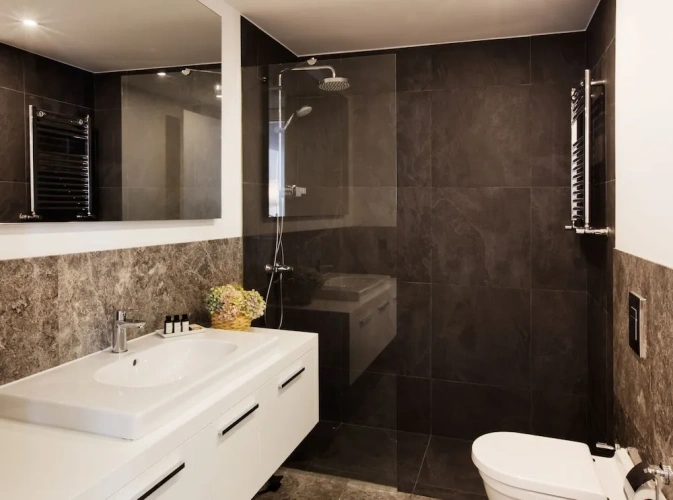 1 Bedroom Deluxe Single room with city view