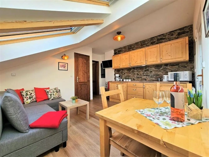 1 Bedroom Apartment