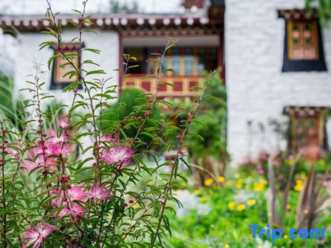 DongPo hotel