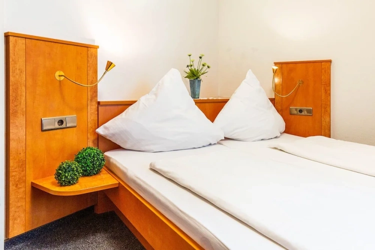 Standard Double room with balcony and with view