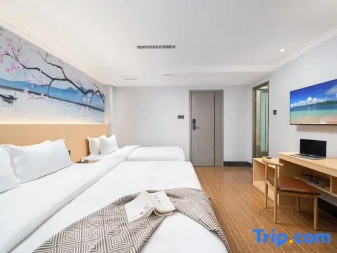 Standard Double room with city view