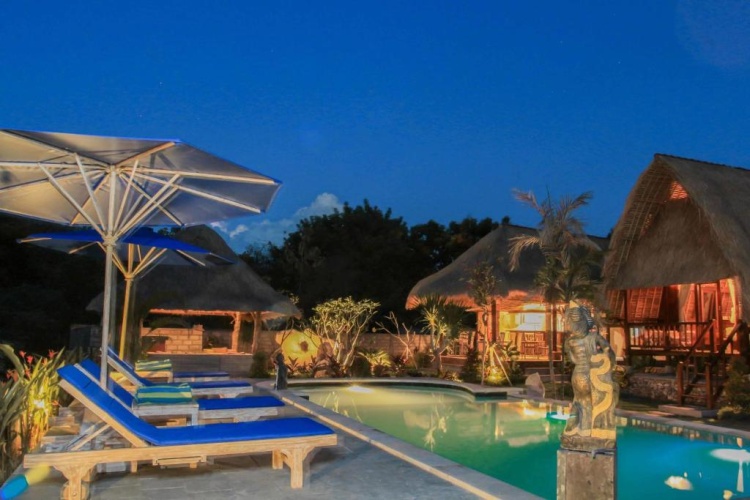 Deluxe Villa with balcony and with view