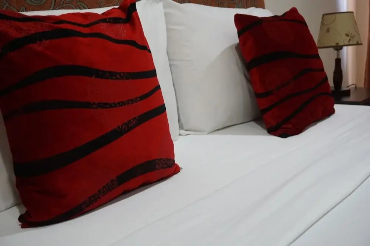 Standard Twin room with balcony