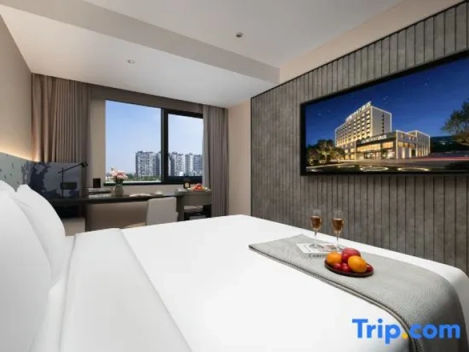 Standard Double room with city view