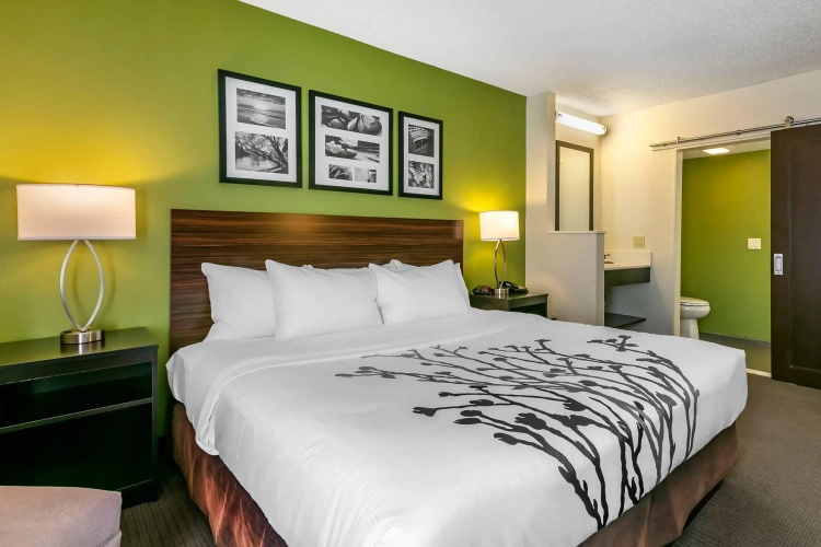 Standard Double room