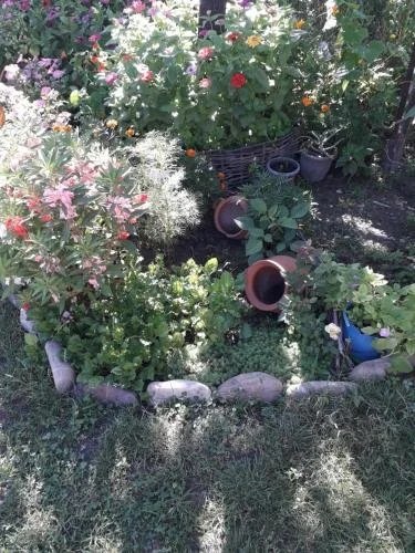 Hostel Kakheti