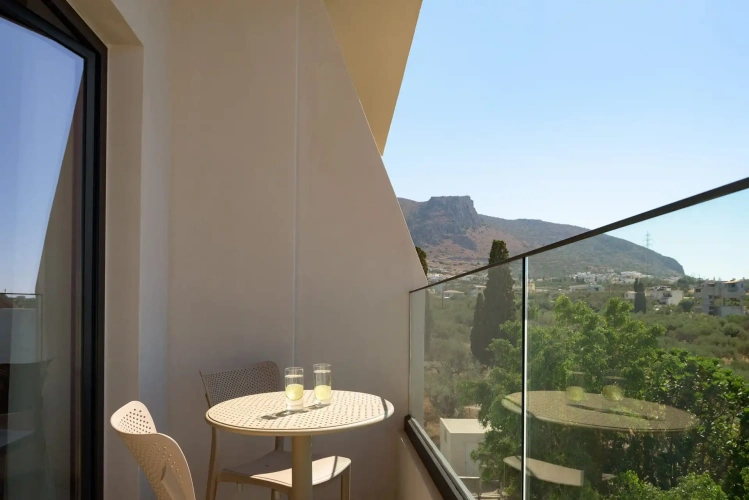 Superior Single room with balcony