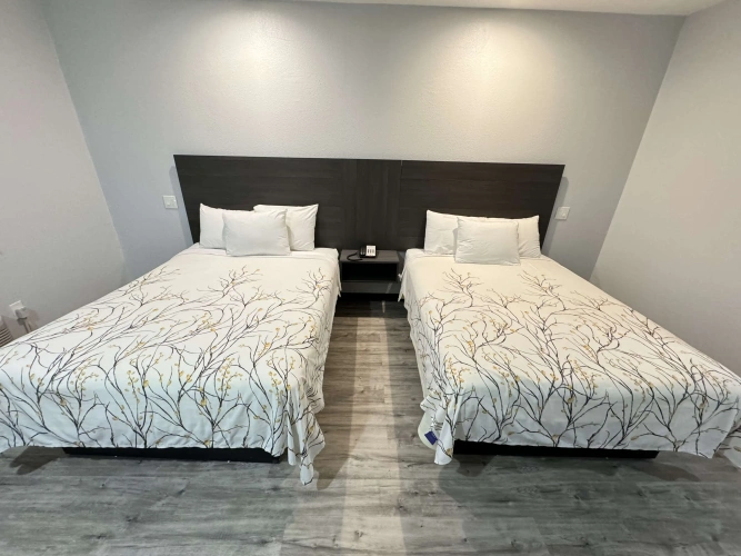 Quadruple Suite