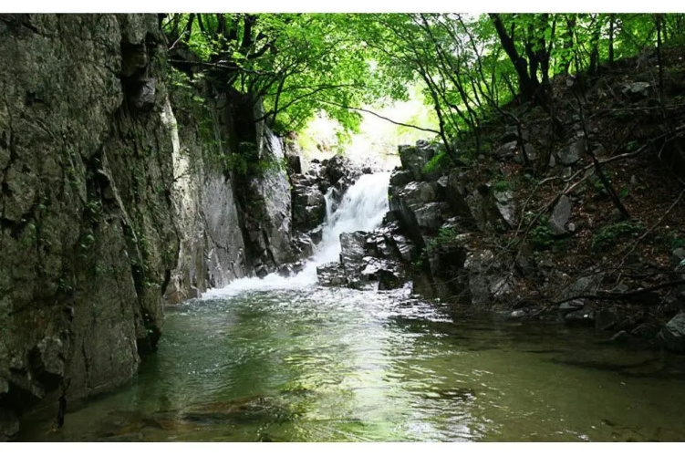 Laon Pension