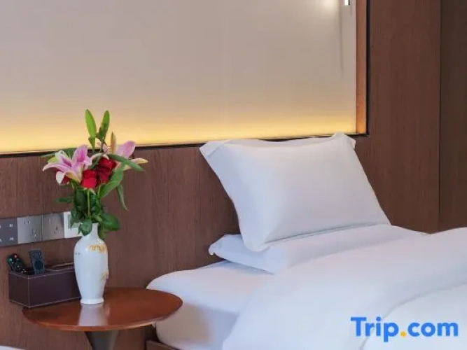 Luxury Twin room