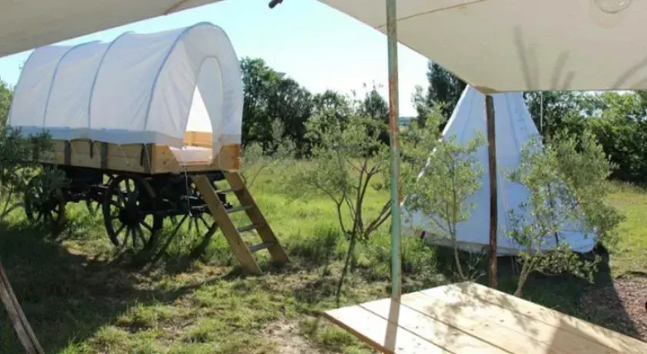 Tipis Des Oliviers