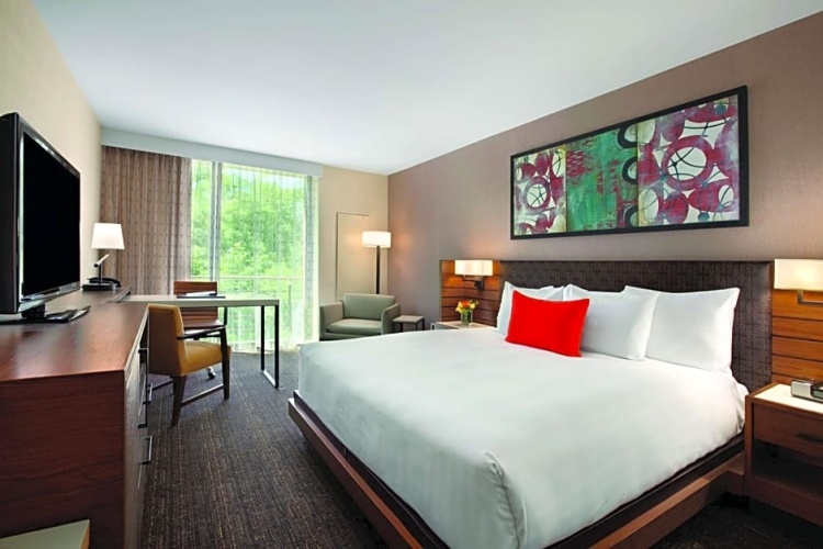 1 Bedroom Double Suite