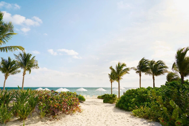 SLS Playa Mujeres photo 22