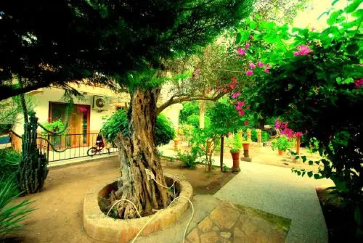 Cemil's Guest House