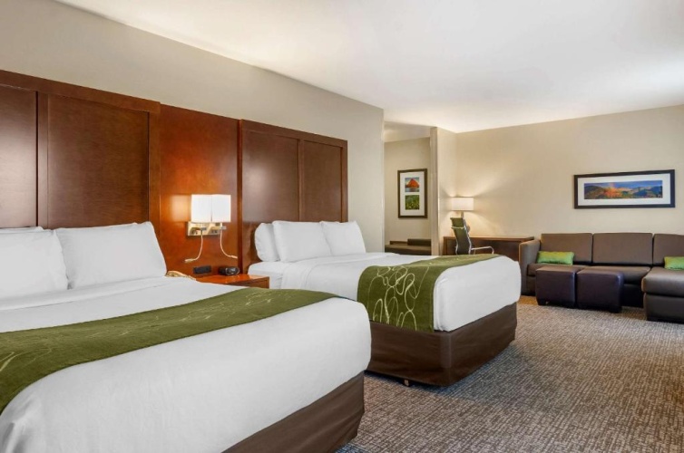 Standard Quadruple Suite
