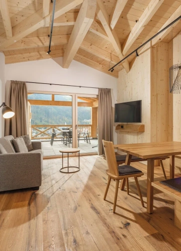 Standard Penthouse room