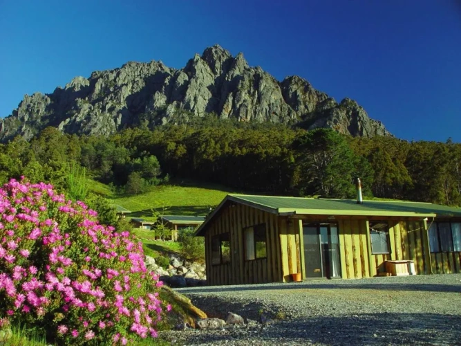 Standard Cottage with view
